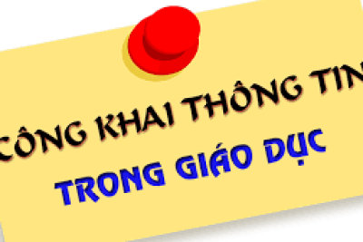 Thông báo Công khai đội ngũ, cam kết chất lượng giáo dục, CSVC trường Tiểu học Nhân Thịnh năm học 2024 – 2025